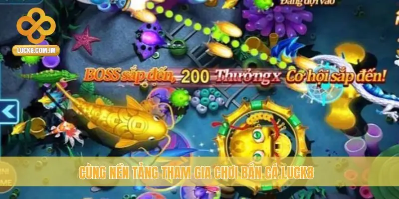 Cùng nền tảng tham gia chơi bắn cá Luck8