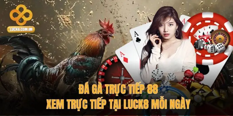 Đá Gà Trực Tiếp 88