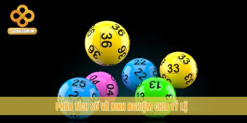 Phân tích số và kinh nghiệm chia tỷ lệ
