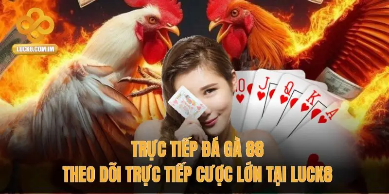 Trực tiếp Đá Gà 88
